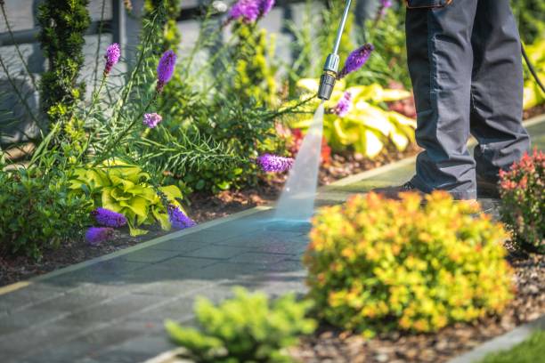 Best Soft Washing for Delicate Surfaces in Archer City, TX